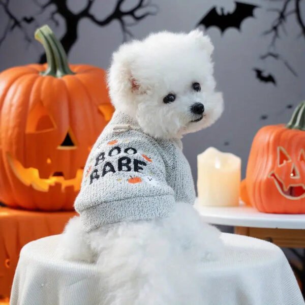 Boo Babe Sweater