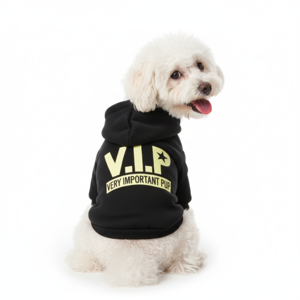 VIP Hoodie