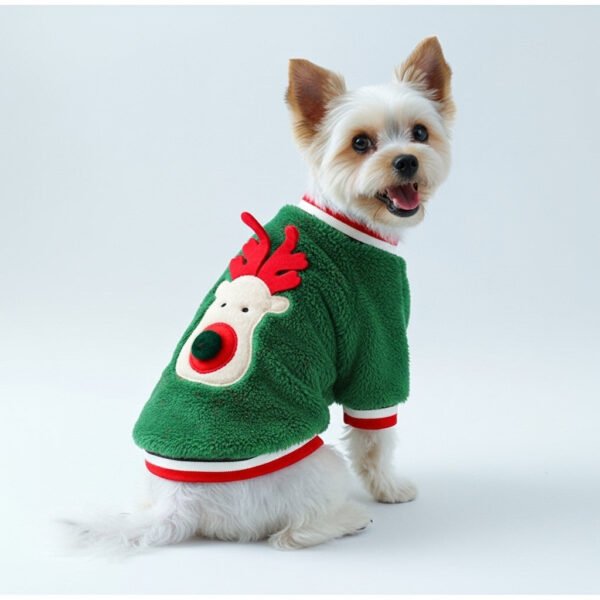 Jingle Paws Sweater