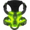 Luminous Joy Harness