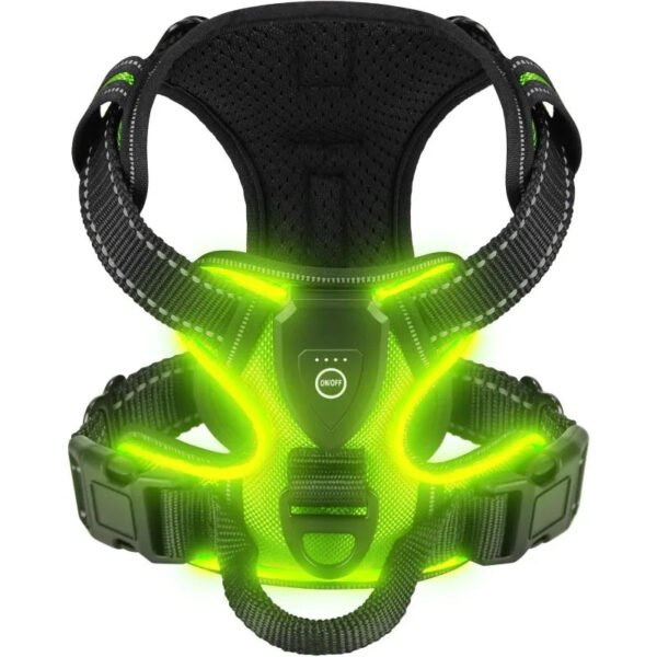 Luminous Joy Harness