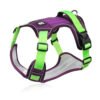 Expedition Gear Harness
